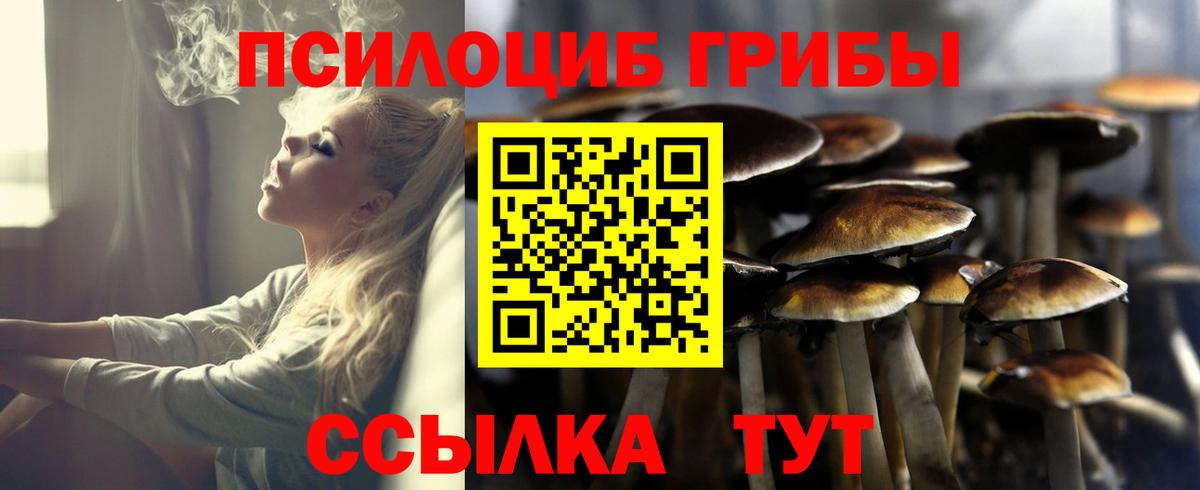 Галлюциногенные грибы Psilocybine cubensis  Вход с VPN  Воскресенск 