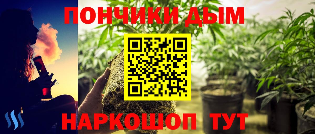 Каннабис планчик Воскресенск